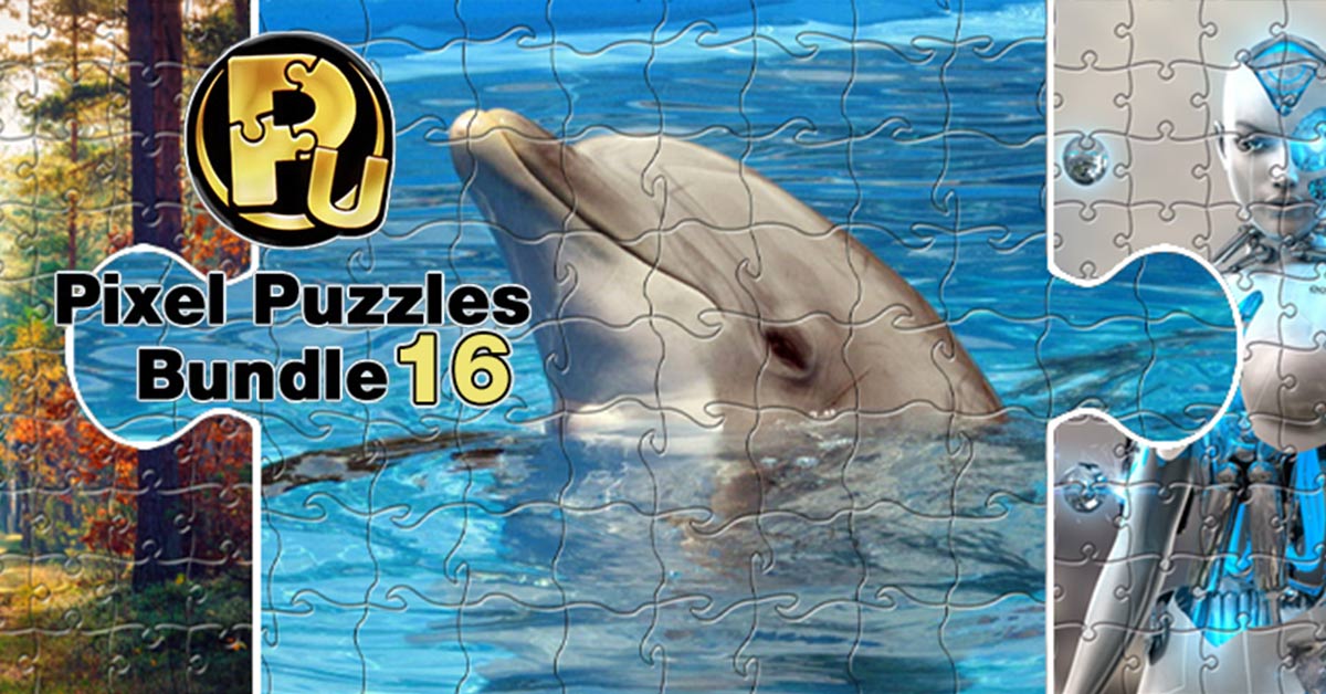 Pixel Puzzles Bundle 16