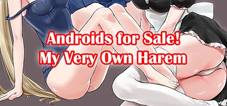 Android For Sale! My Very Own Harem