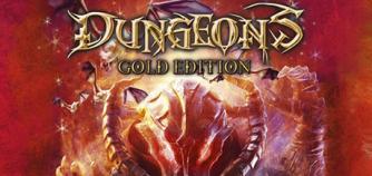 Jaquette de Dungeons Gold
