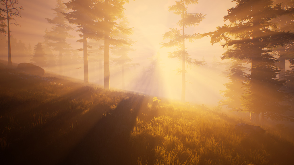 product screenshot 1