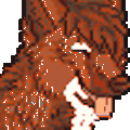 cysiek
