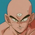 RobertW avatar