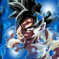 Goku13 avatar