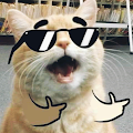 remasterking