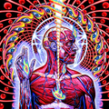 yellowxanaduyearnimagination