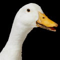 gremonki