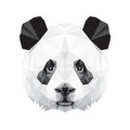 pandasg