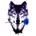 Skyfer avatar
