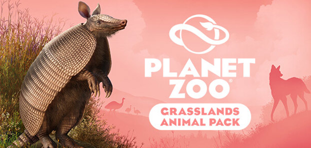 product media blurred bg