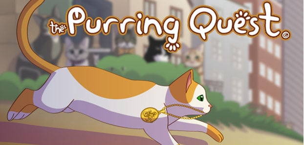 product media blurred bg