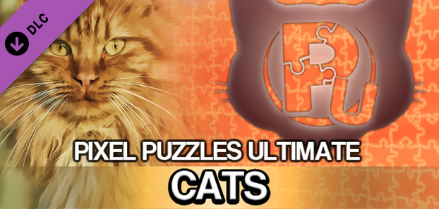 product media blurred bg