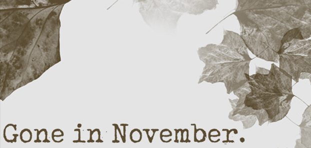 product media blurred bg