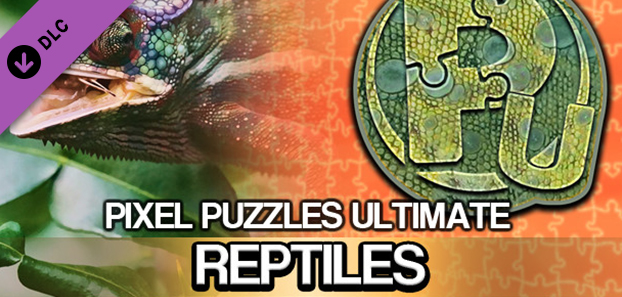 product media blurred bg