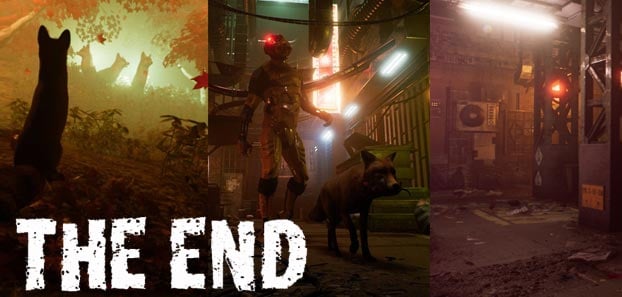 product media blurred bg