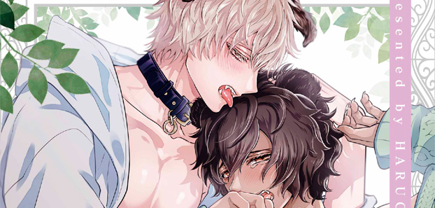 product media blurred bg