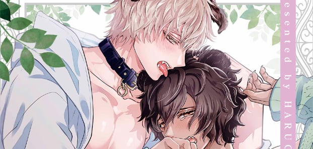 product media blurred bg