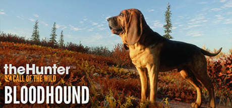 Videogame theHunter: Call of the Wild – Bloodhound
