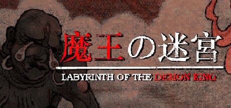Videogame Labyrinth Of The Demon King