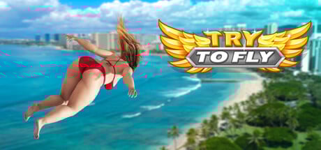 Try to Fly Steam Key cover art