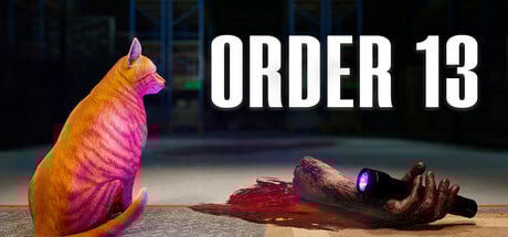 Order 13 Steam Key cover art
