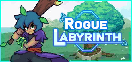 Rogue Labyrinth product image