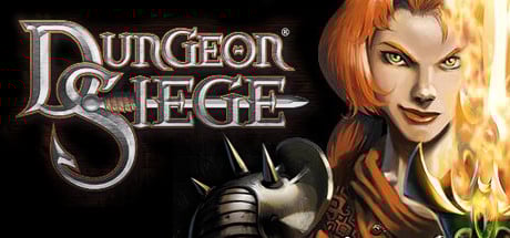 Dungeon Siege Steam Key cover art