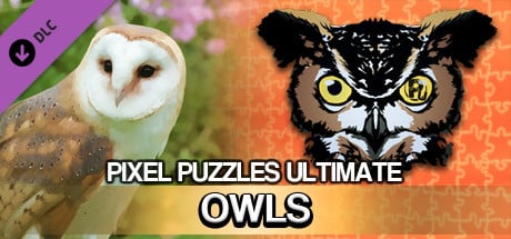 Pixel Puzzles Ultimate - Puzzle Pack: Owls Steam Key cover art