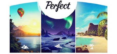 Perfect Steam Key cover art