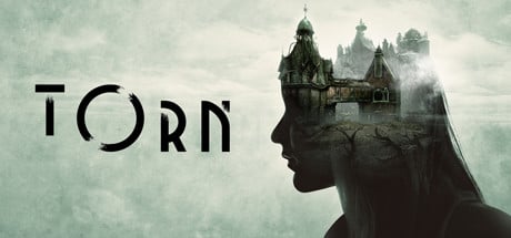 Videogame Torn [Mac]