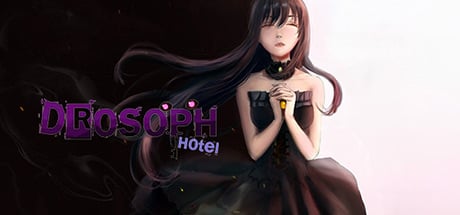 Drosoph Hotel