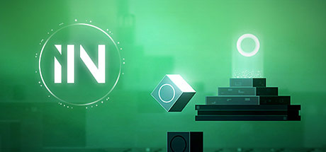 IIN