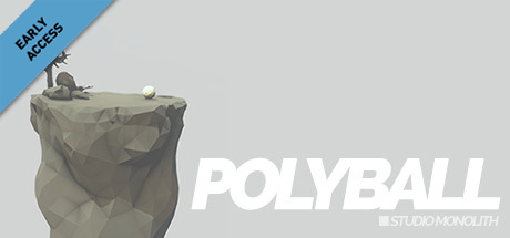 Polyball