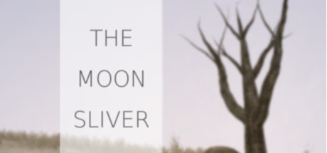 The Moon Sliver Steam Key cover art