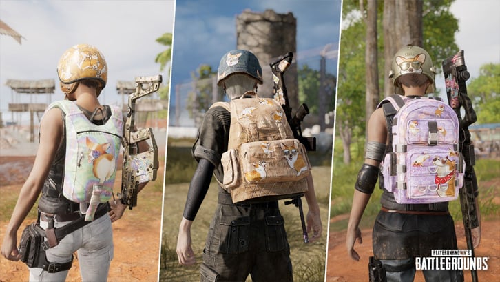 Playerunknown's Battlegrounds - Survivor Pass Payback DLC image