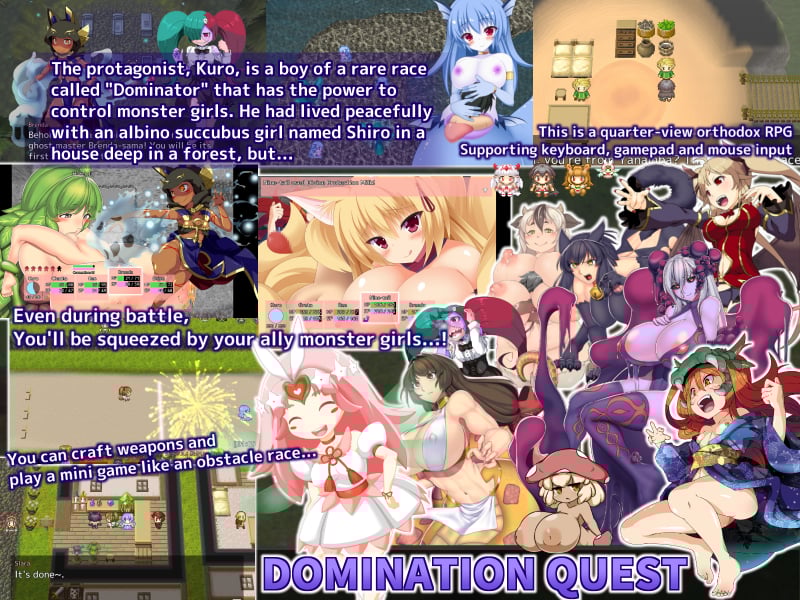 Domination Quest -Kuro & the Naughty Monster Girls- image