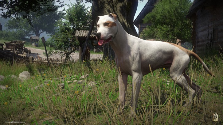 Kingdom Come: Deliverance – A Woman's Lot image