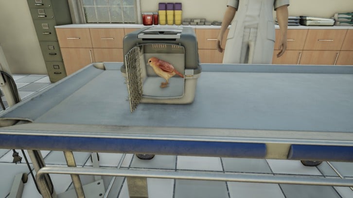 Animal Doctor image