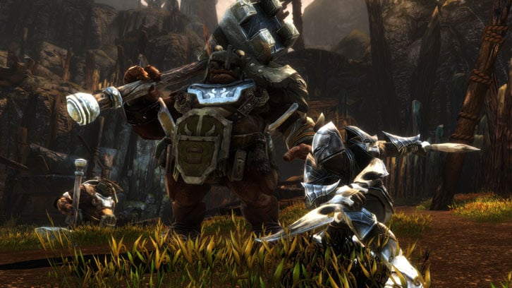 Kingdoms of Amalur: Re-Reckoning image