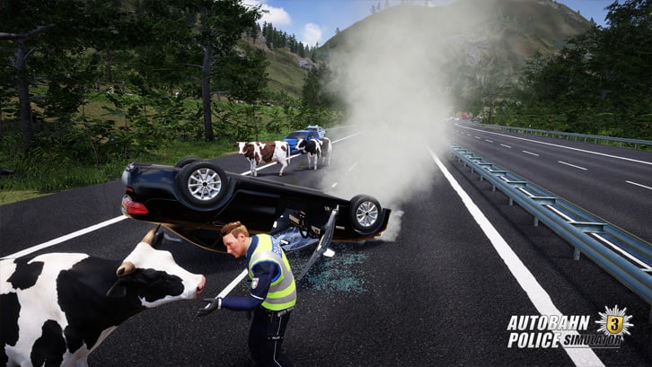 Autobahn Police Simulator 3 image