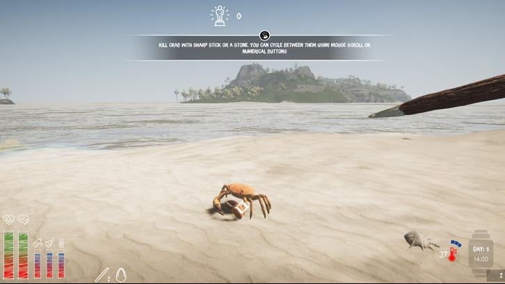 Lost in Tropics image