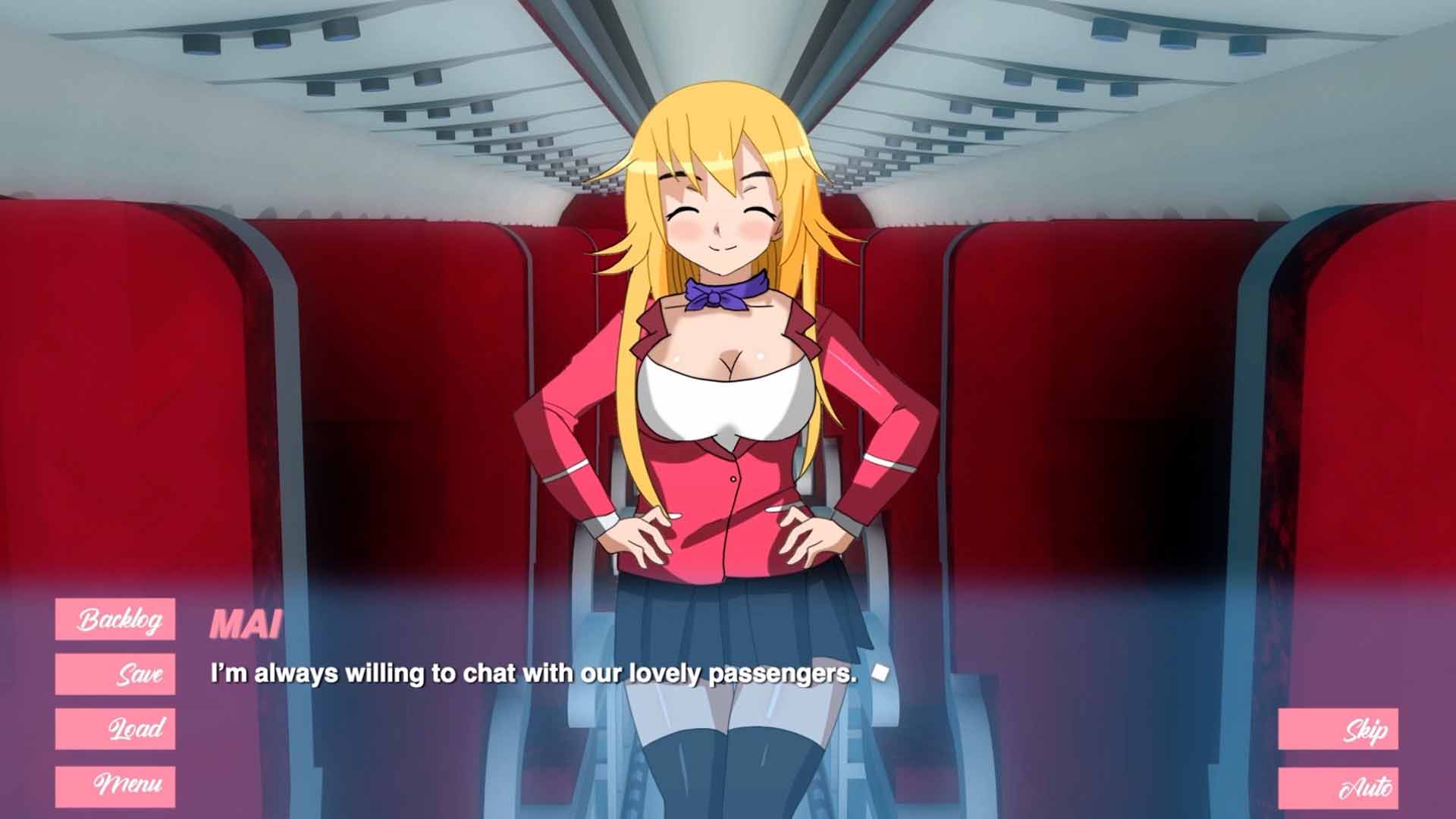 Pleasure Airlines image