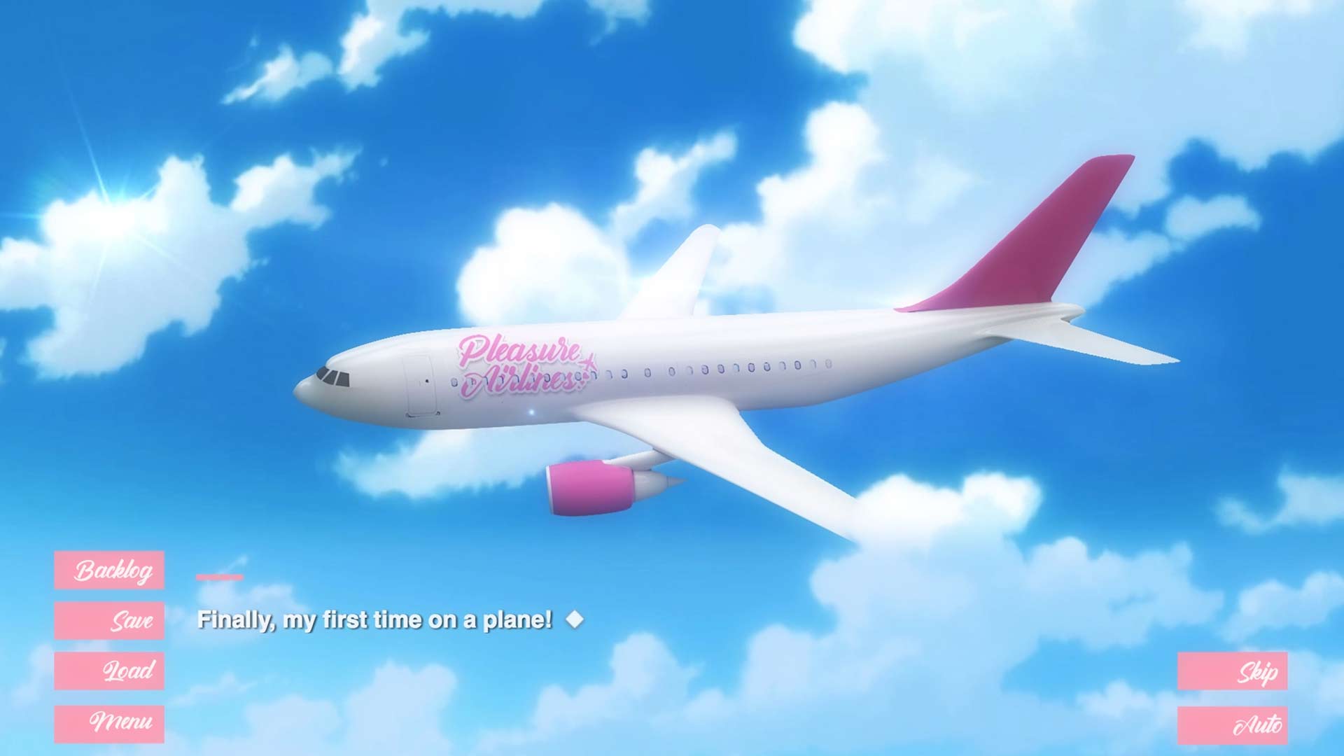 Pleasure Airlines image
