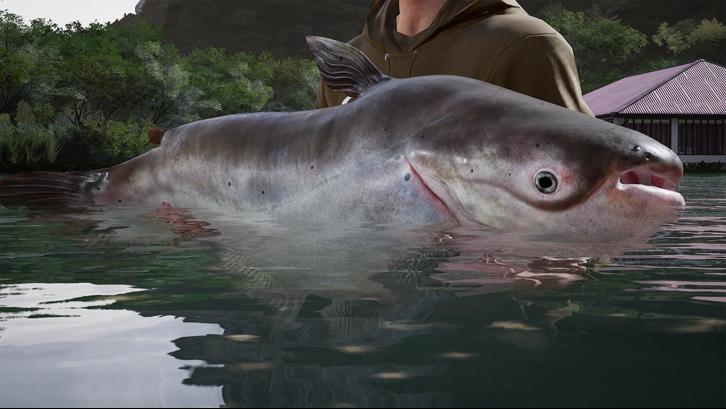 Fishing Sim World Pro Tour - Giant Carp Pack DLC Steam Key screenshot from the video game thumbnail 6