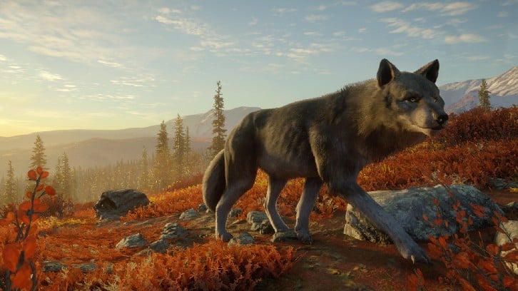 theHunter: Call of the Wild™ - Yukon Valley image