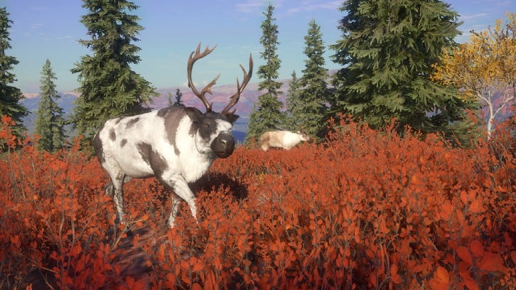 theHunter: Call of the Wild™ - Yukon Valley image