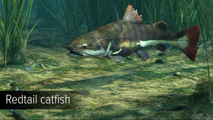 Ultimate Fishing Simulator - Amazon River DLC image