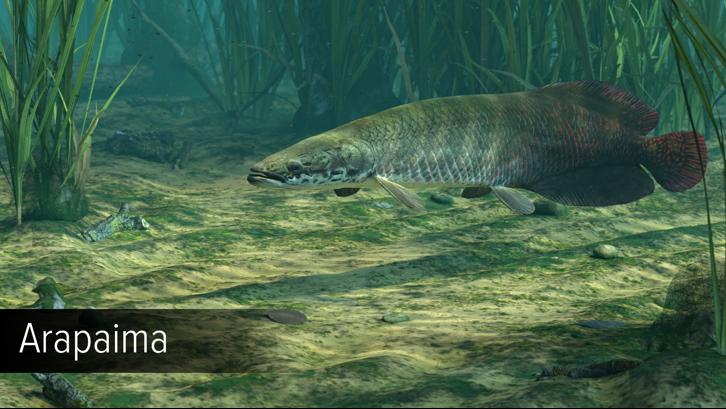 Ultimate Fishing Simulator - Amazon River DLC image