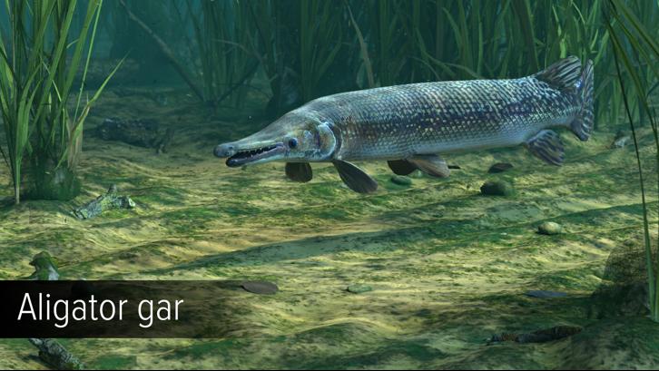 Ultimate Fishing Simulator - Amazon River DLC image