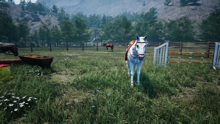 Ranch Simulator image