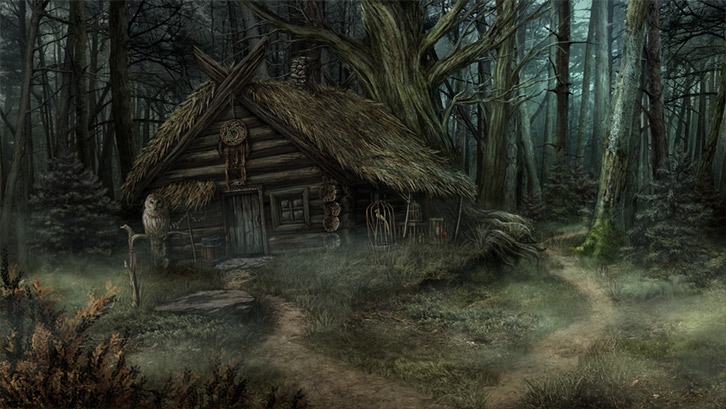 The Wild Case image